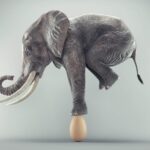 Featured image placeholder 16:9